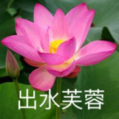 4399幻兽大陆手游下载
